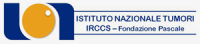 Logo Istituto Nazionale Tumori IRCCS Fondazione Pascale